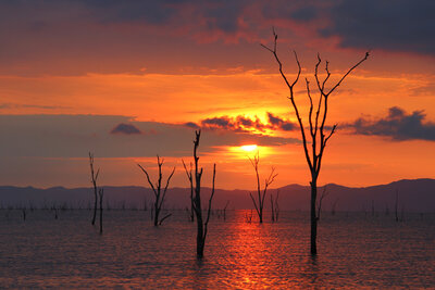 Matusadona sunset, Lake Kariba, Zimbabwe.