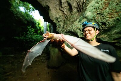 Dr Isabella Mandl releases a Hildegarde's Tom bat in Kenya. Bat Conservation International / Horizonline Pictures
